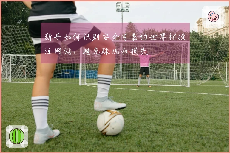 新手如何识别安全可靠的世界杯投注网站，避免踩坑和损失