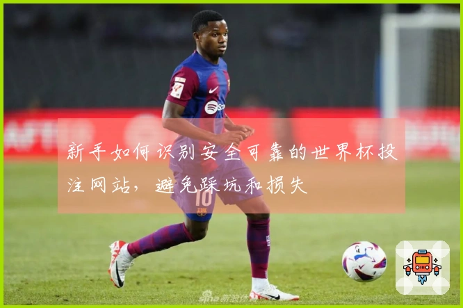 新手如何识别安全可靠的世界杯投注网站，避免踩坑和损失