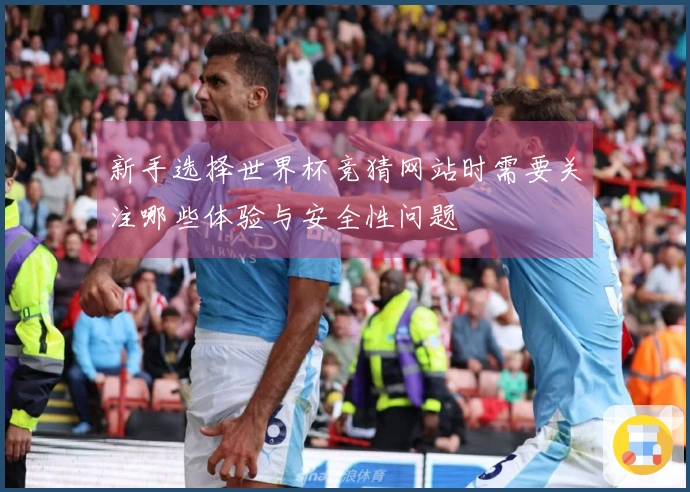 新手选择世界杯竞猜网站时需要关注哪些体验与安全性问题